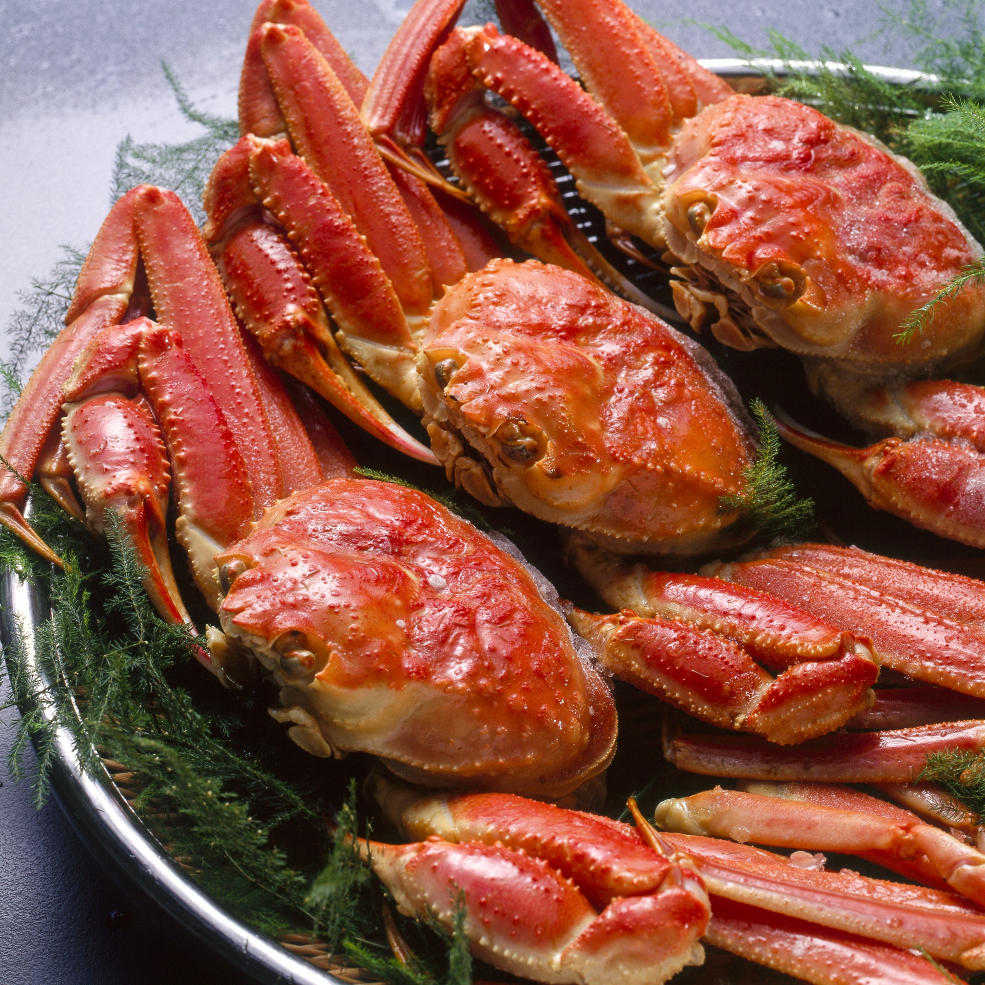 蟹の目利き、山口料理長による選び抜かれたずわい蟹を存分に味わう「蟹の会」